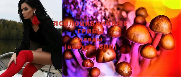 соль курить ск Алексин
