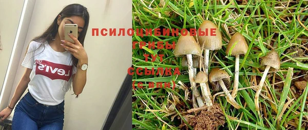 соль курить ск Алексин
