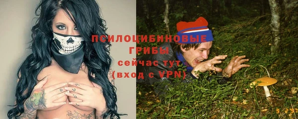 твердый Абаза