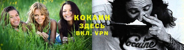 дурь Алексеевка